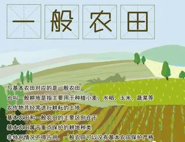 那些与耕地相闭的学问(图3)