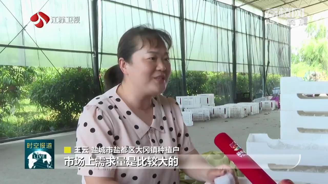 盛夏的果实 科学培管 优秀种植技巧栽出“致富果”(图1)