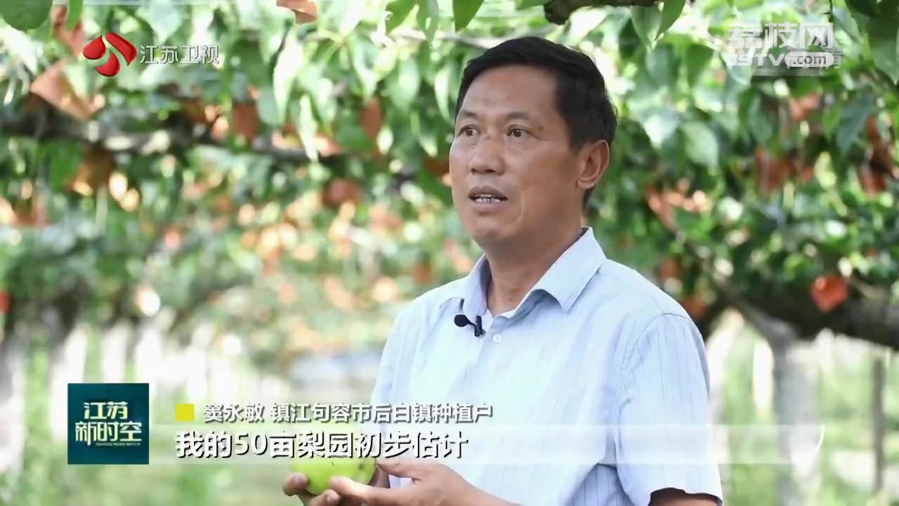 盛夏的果实 科学培管 优秀种植技巧栽出“致富果”(图2)