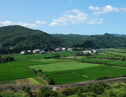 农业墟落部：一季度农业墟落经济维持优异生长势头