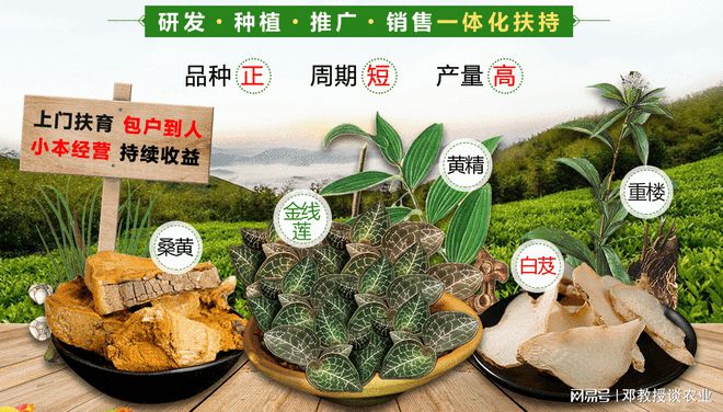 种植一亩地能赚众少钱？看完你就领悟了(图5)