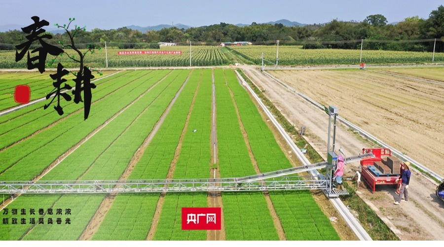 农业村落部：农产物价钱总体希望慢慢企稳回升并连结正在合理区间