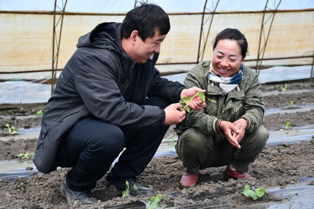 【856·特征种植】“三张牌”打出水稻秧棚致富增收新领土(图2)