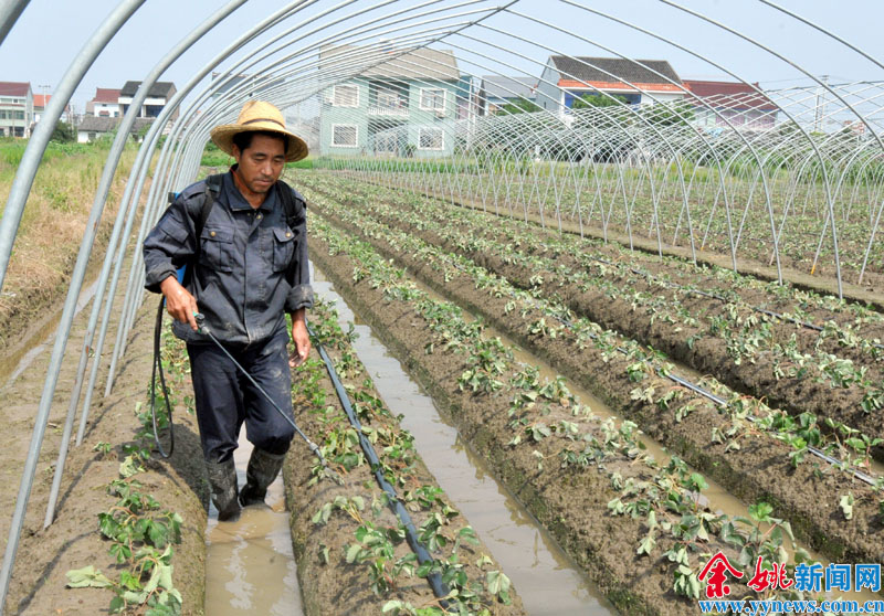 华体育手机版app官网下载：特性种植让梁家村平民日子有了奔头