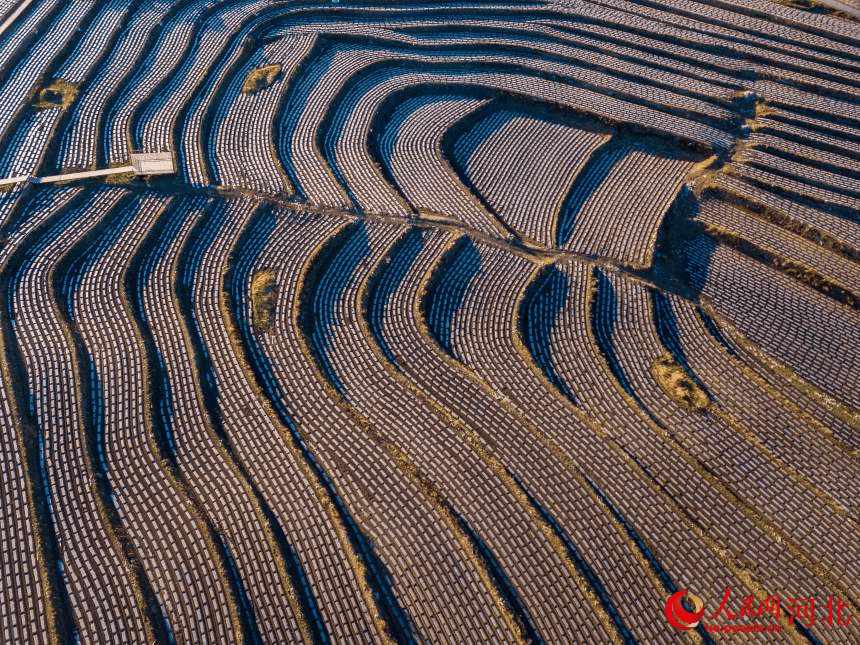 河北围场：不负春景耕种忙(图1)