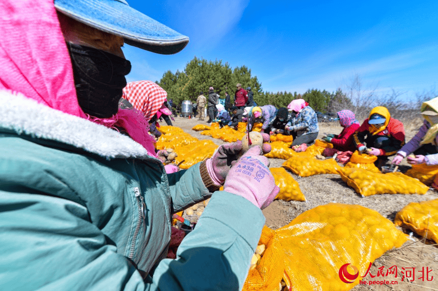 河北围场：不负春景耕种忙(图3)