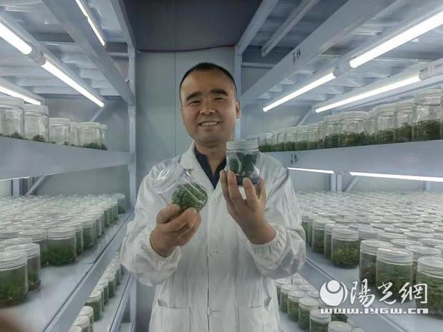 植物组培：小瓶子里长出“新天下”(图2)