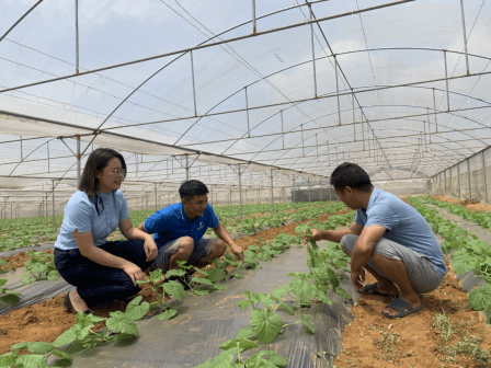 华体育手机版app官网下载：种植基地网